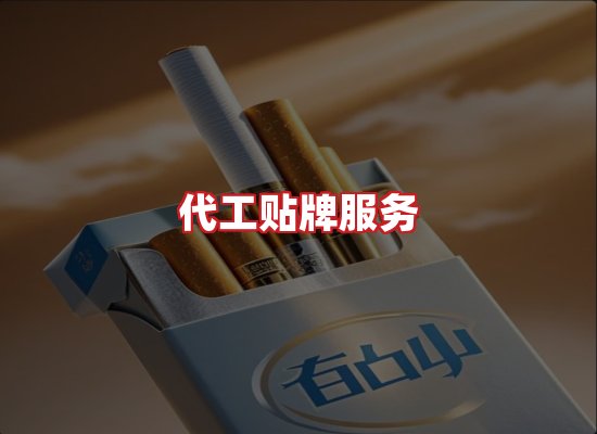 专业团队